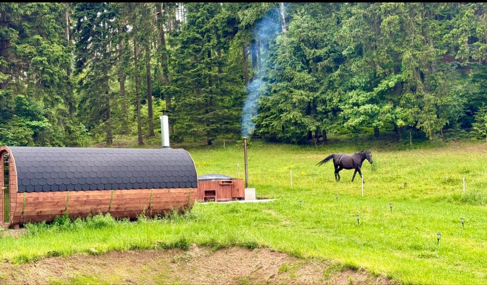 Forrest Glamp Hotel Mieroszow Екстериор снимка