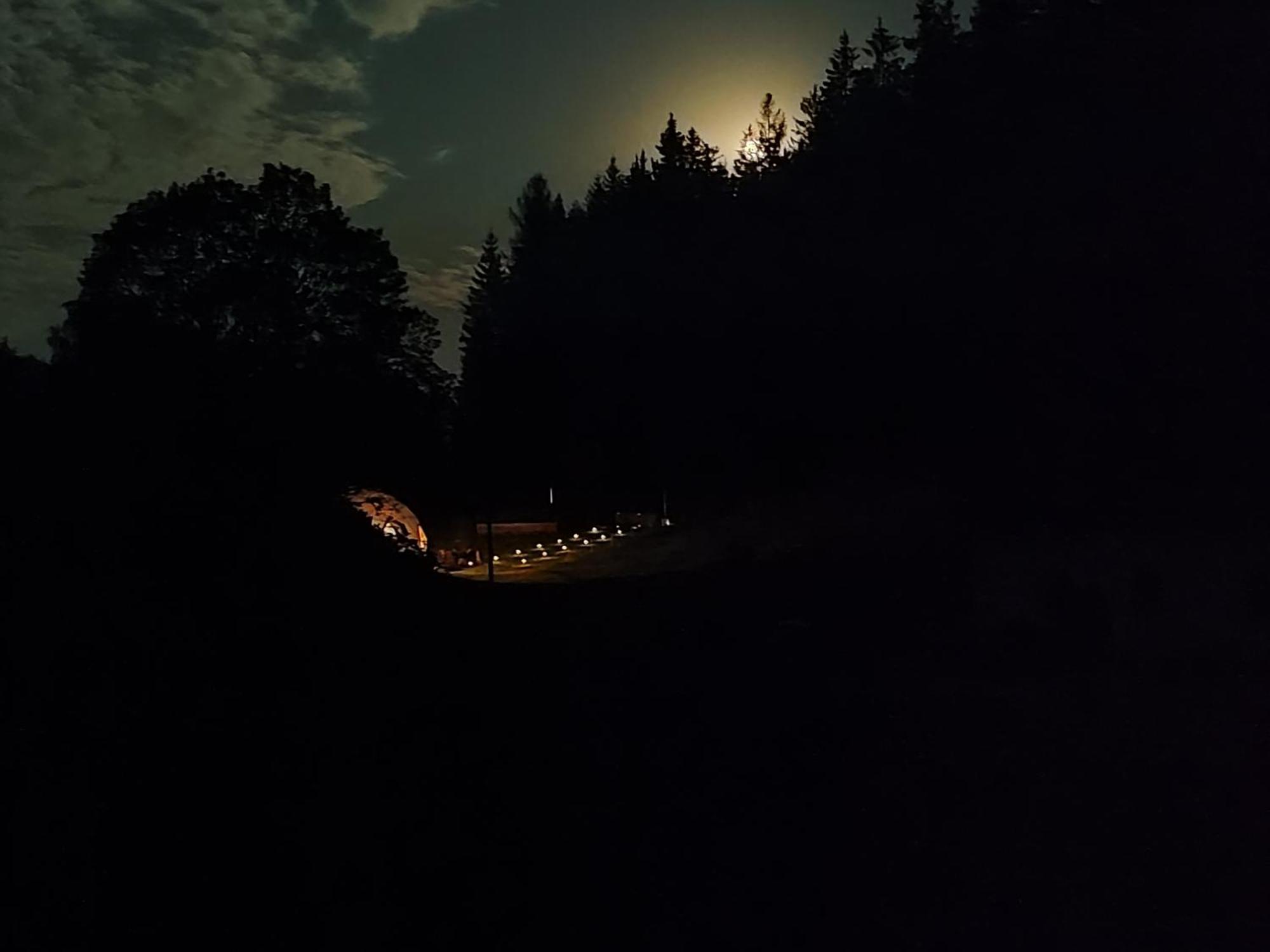 Forrest Glamp Hotel Mieroszow Екстериор снимка