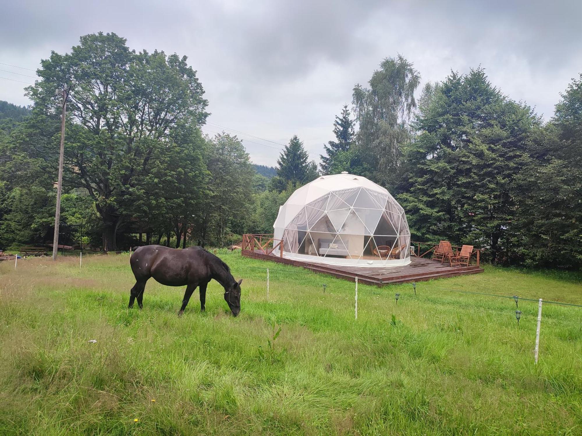 Forrest Glamp Hotel Mieroszow Екстериор снимка